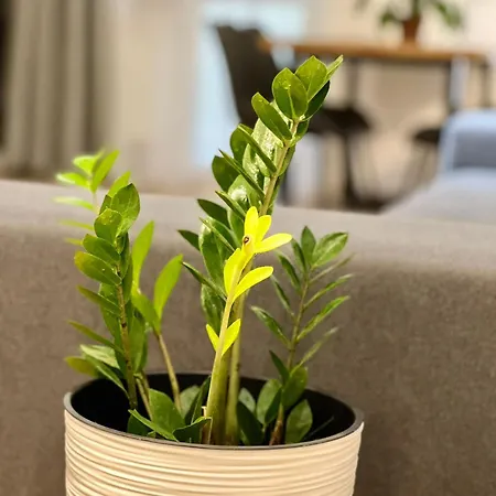 Osapart In A Complex Great Britain Lejlighed