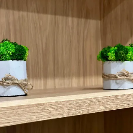 Apartament Osapart In A Complex Great Britain Lwów