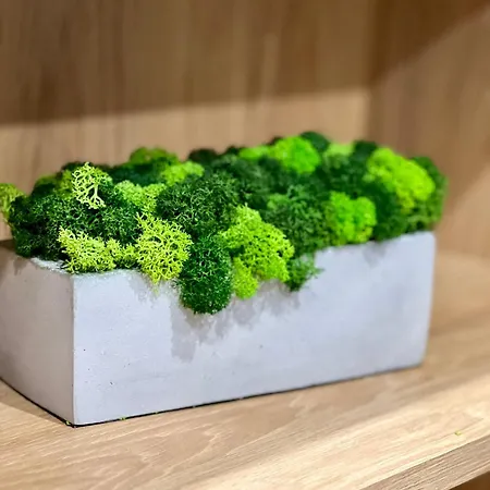 Osapart In A Complex Great Britain Lejlighed