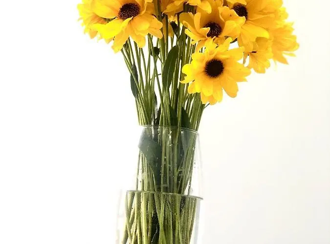 Appartement Osapart In A Complex Great Britain Lviv