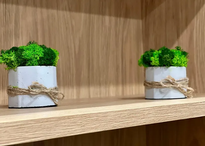 Apartment Osapart In A Complex Great Britain Lviv