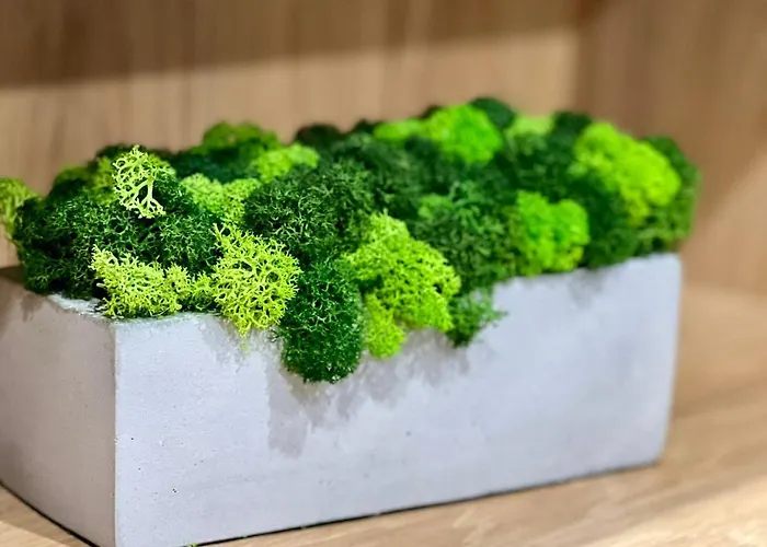 Osapart In A Complex Great Britain Lejlighed