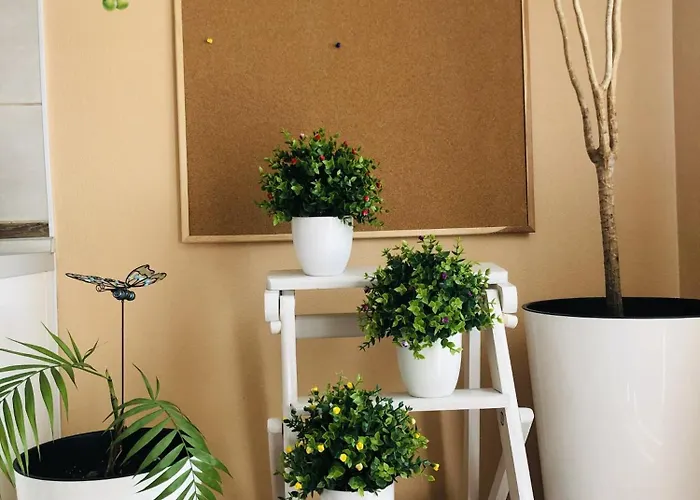 Osapart In A Complex Great Britain * Lemberg