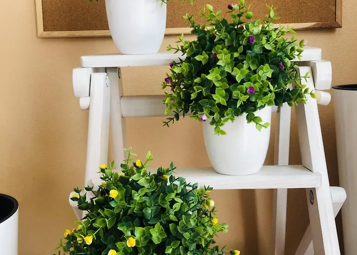 Osapart In A Complex Great Britain *