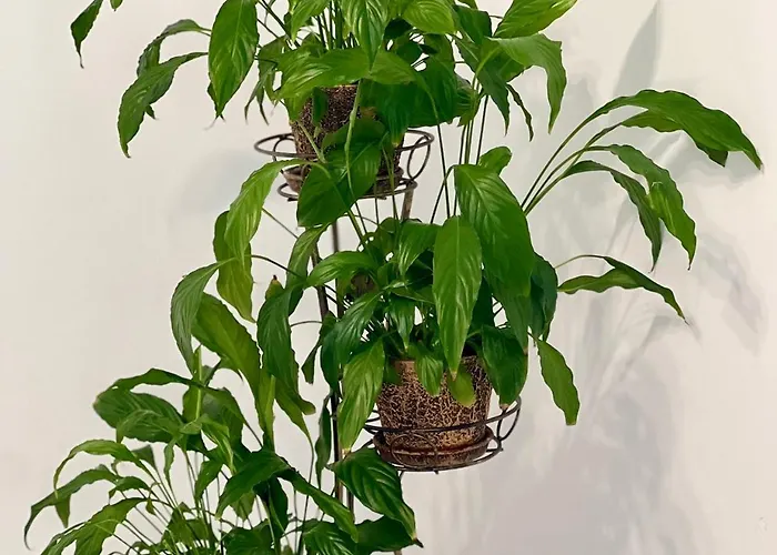 Osapart In A Complex Great Britain Appartement Lviv