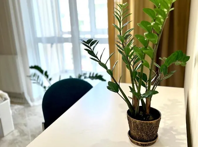 Osapart In A Complex Great Britain リヴィウ