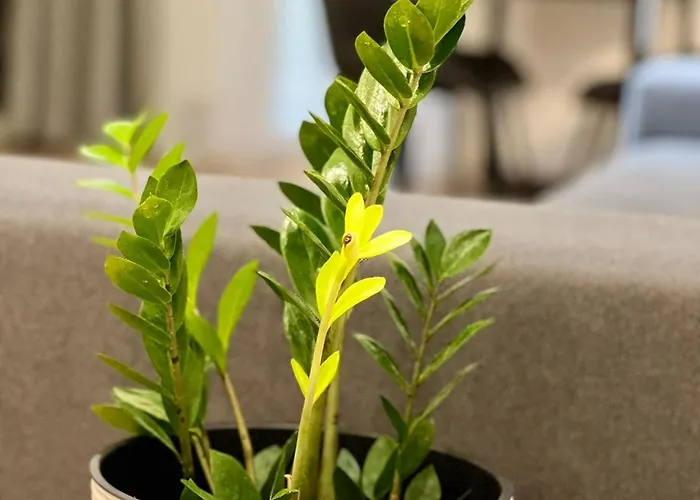 Osapart In A Complex Great Britain アパート